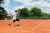 Tennis : finales régi ... - Crédit: Droits réservés | CC BY-NC-ND 4.0