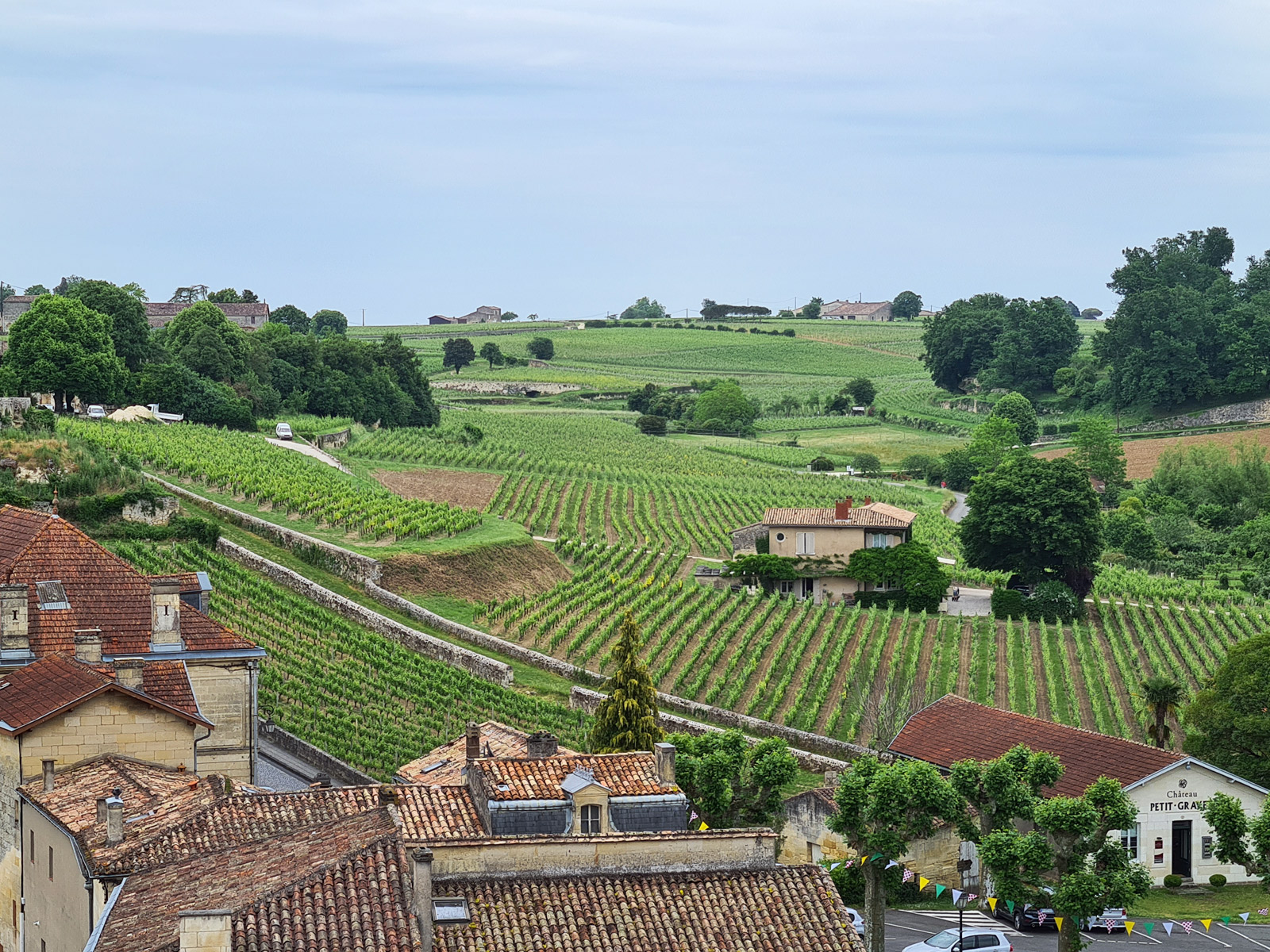 The Saint-Émilion vineyard