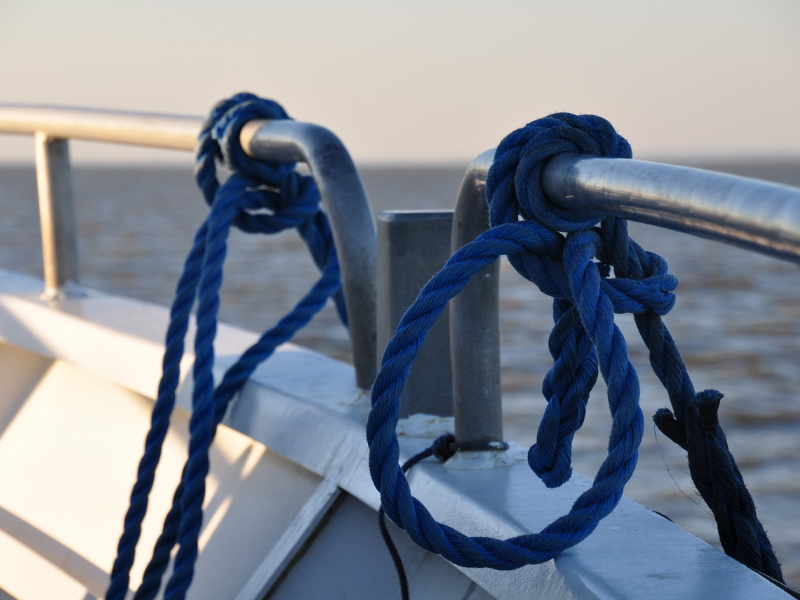 Croisière du dimanche sur l'estuaire à Terres  ...