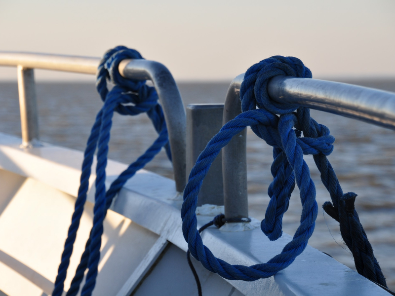 Croisière du dimanche sur l'estuaire