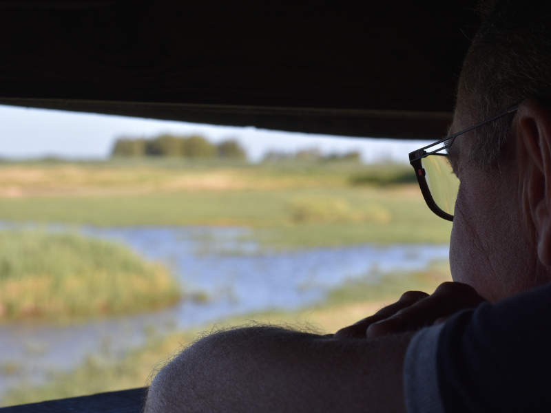 Samedi ornitho à Terres d'Oiseaux