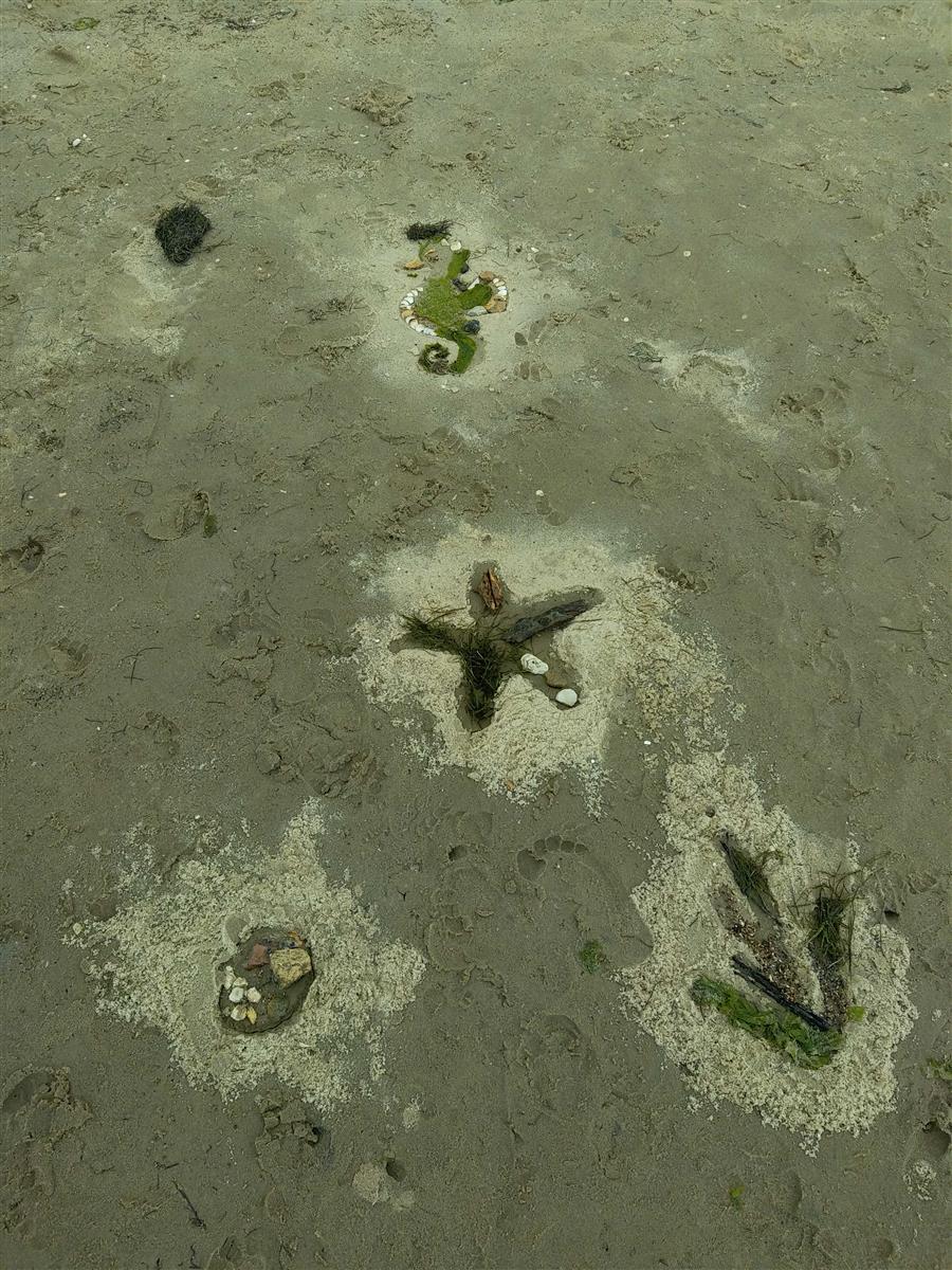 Plage, coquillage et farfouillage