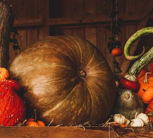Repas d'automne par Saint-Quentin Loisirs