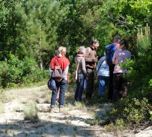 Visite Guidée : Forêt Dunaire de Camicas