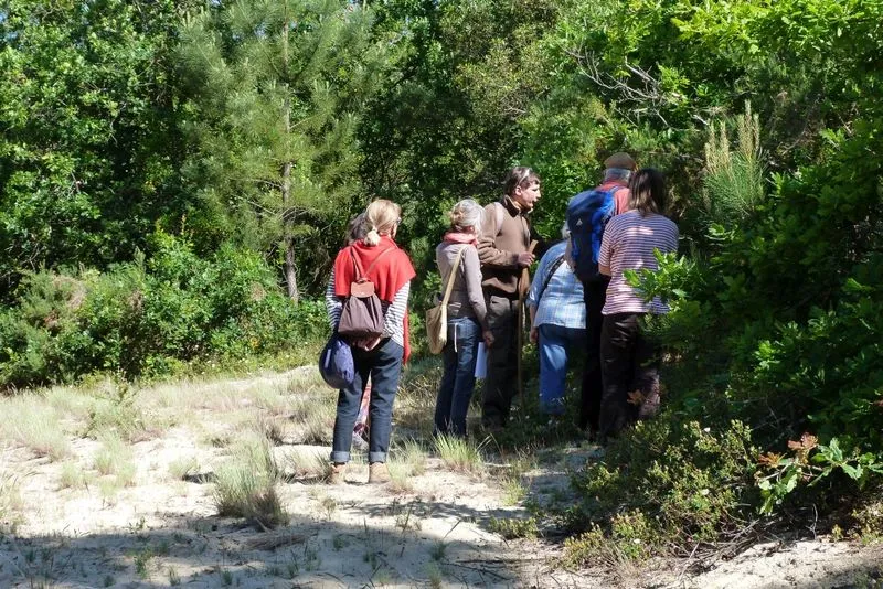 Visite Guidée : Forêt ... - Crédit: Véronique Perrin | CC BY-NC-ND 4.0