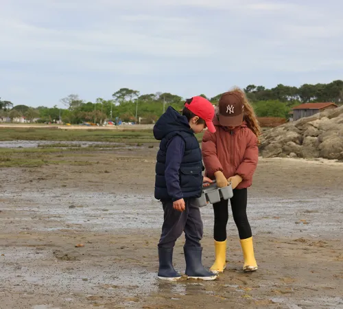 Les trésors cachés à marée basse