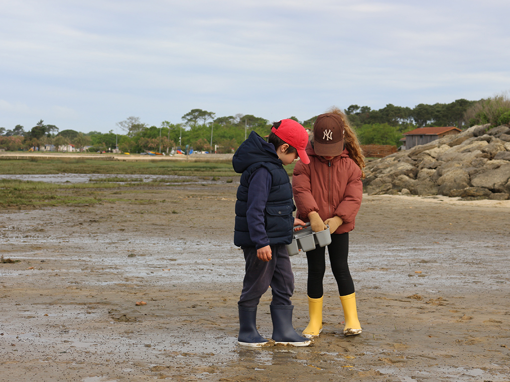 Les trésors cachés à marée basse