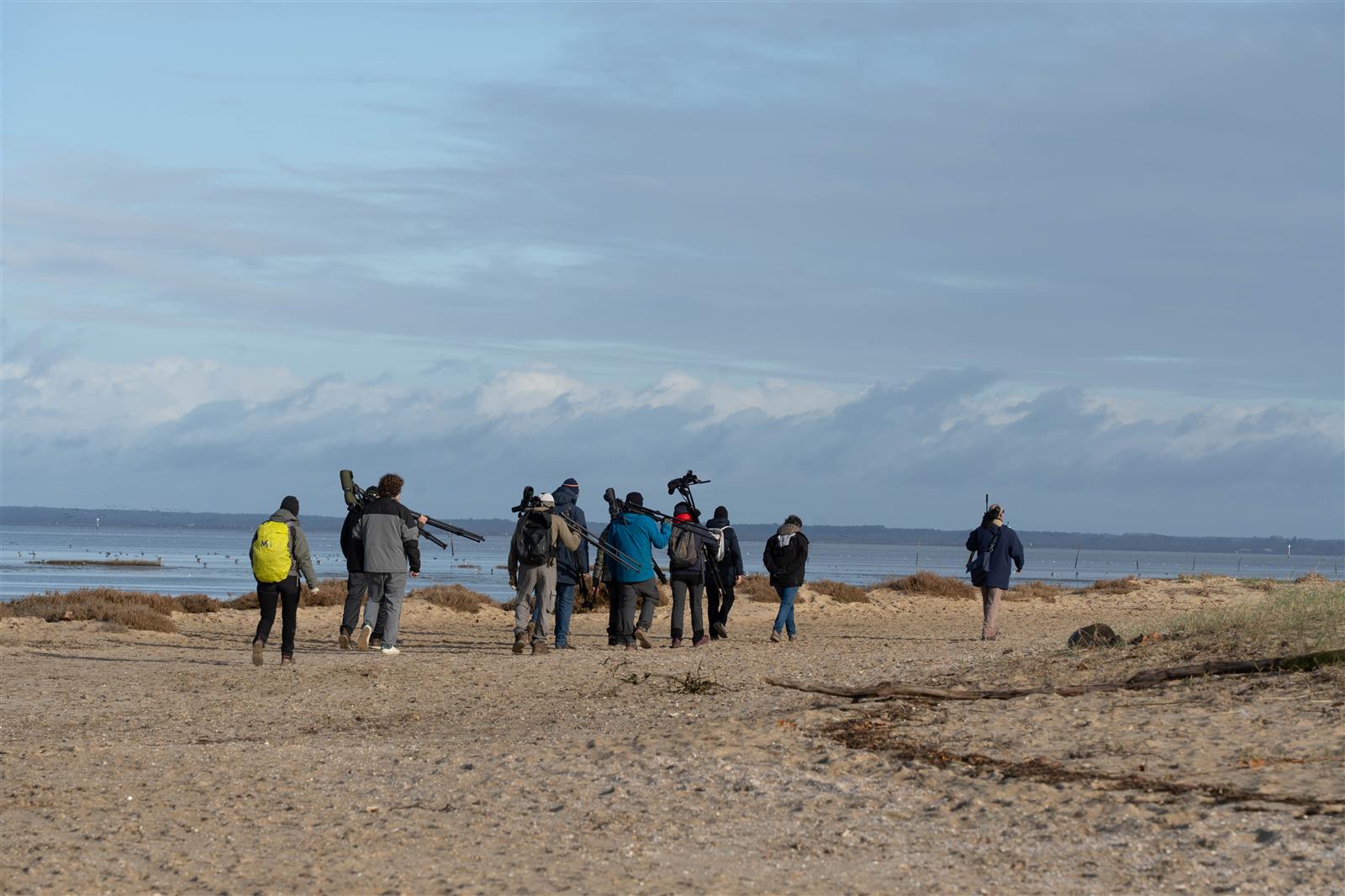 Formation aux oiseaux du littoral : weekend oi ...