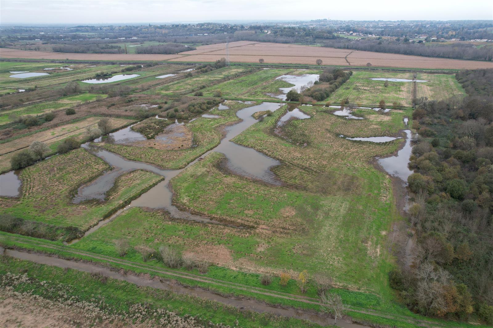 Balade guidée : découverte du marais de la Virvée