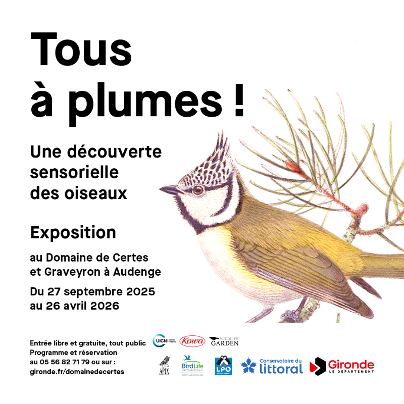 Exposition au Domaine de Certes et Graveyron : ...