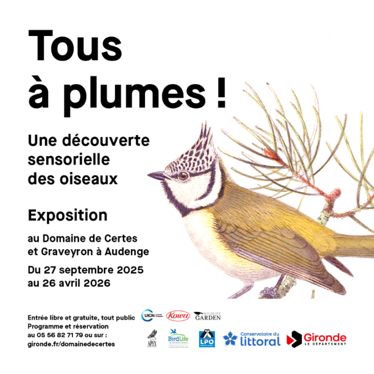 Exposition au Domaine de Certes et Graveyron : ...