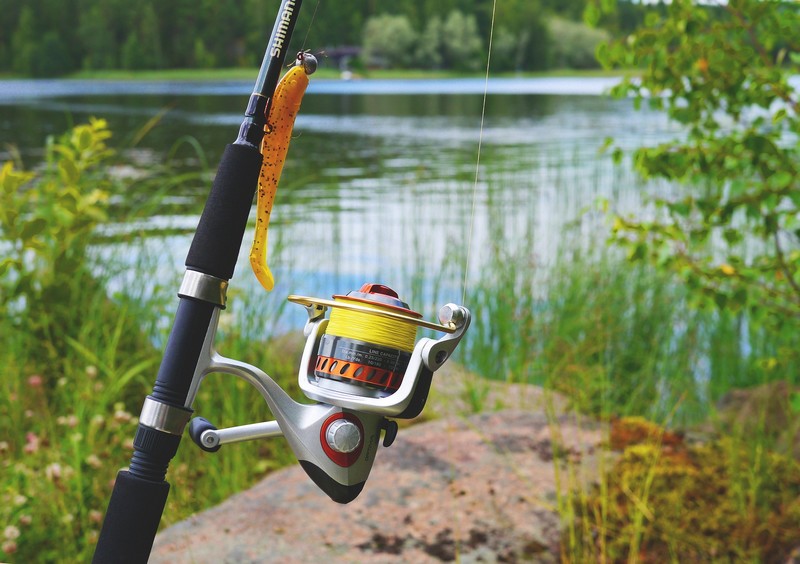 Initiation à la pêche au Black Bass