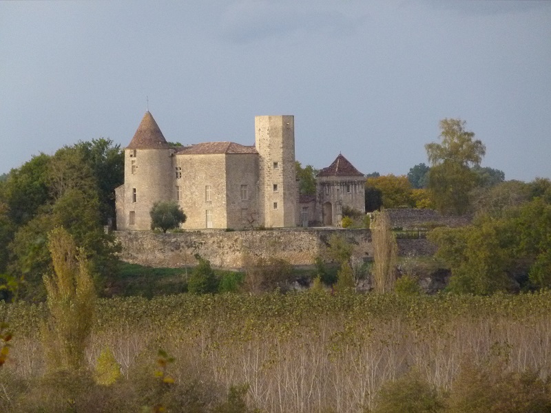Visite du Château du ... - Crédit: Château du Puch de Gensac. | CC BY-NC-ND 4.0