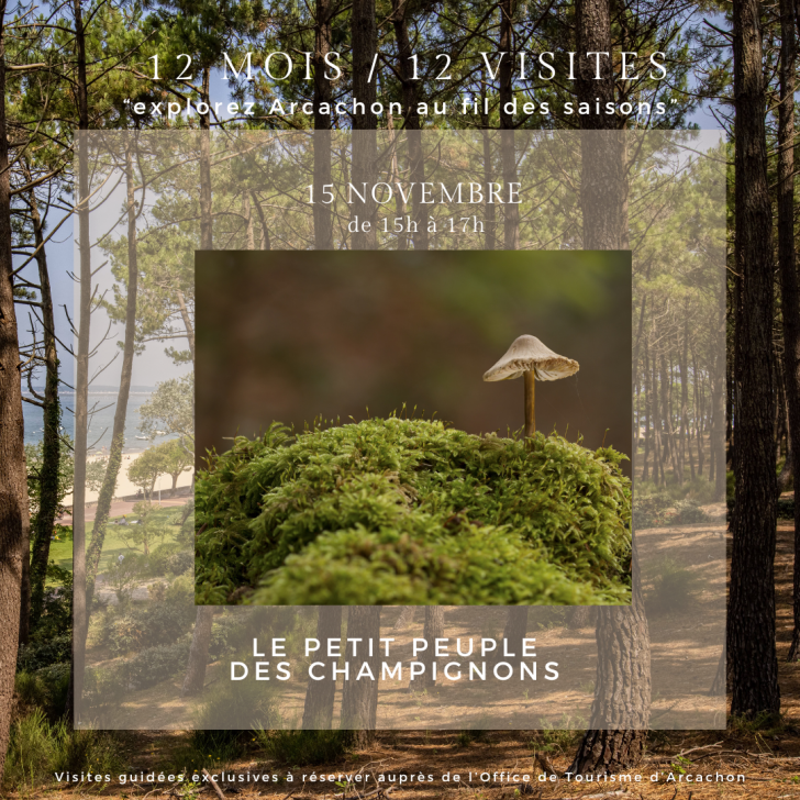 Visite guidée 12 mois/12 : Le petit peuple des ...