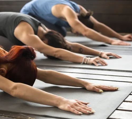 Stage de Yoga