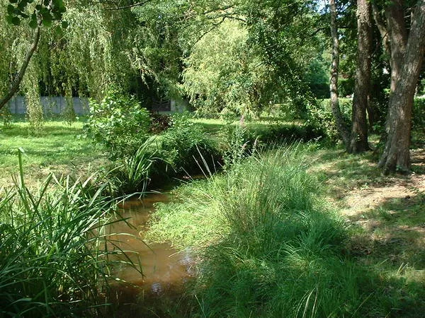 Histoire d'un ruisseau - Crédit: Andernos Tourisme | CC BY-NC-ND 4.0