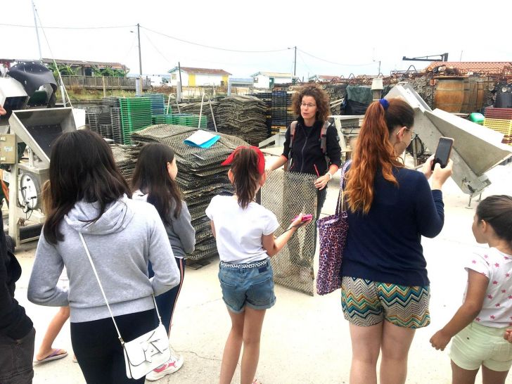 Les petits secrets de l'huître