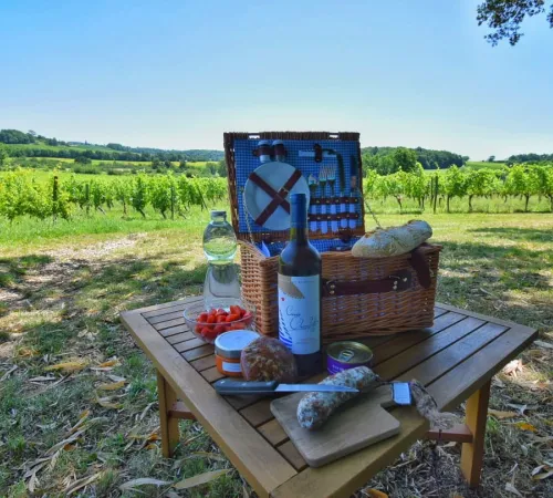 Pique-nique dans les vignes au Château Hostens-Picant