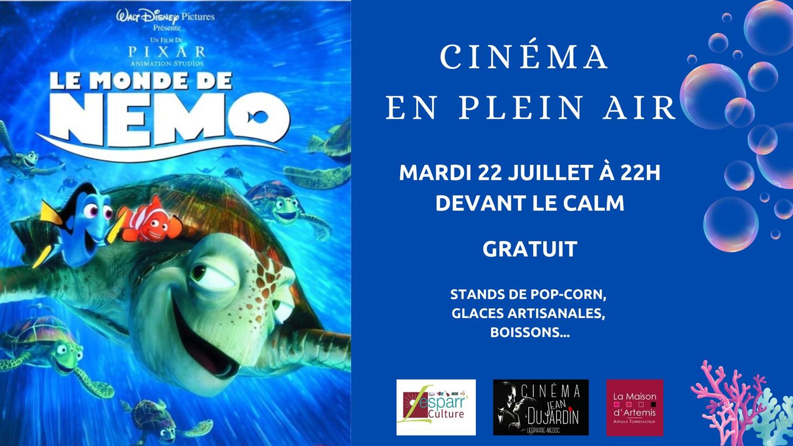 Cinéma en plein air