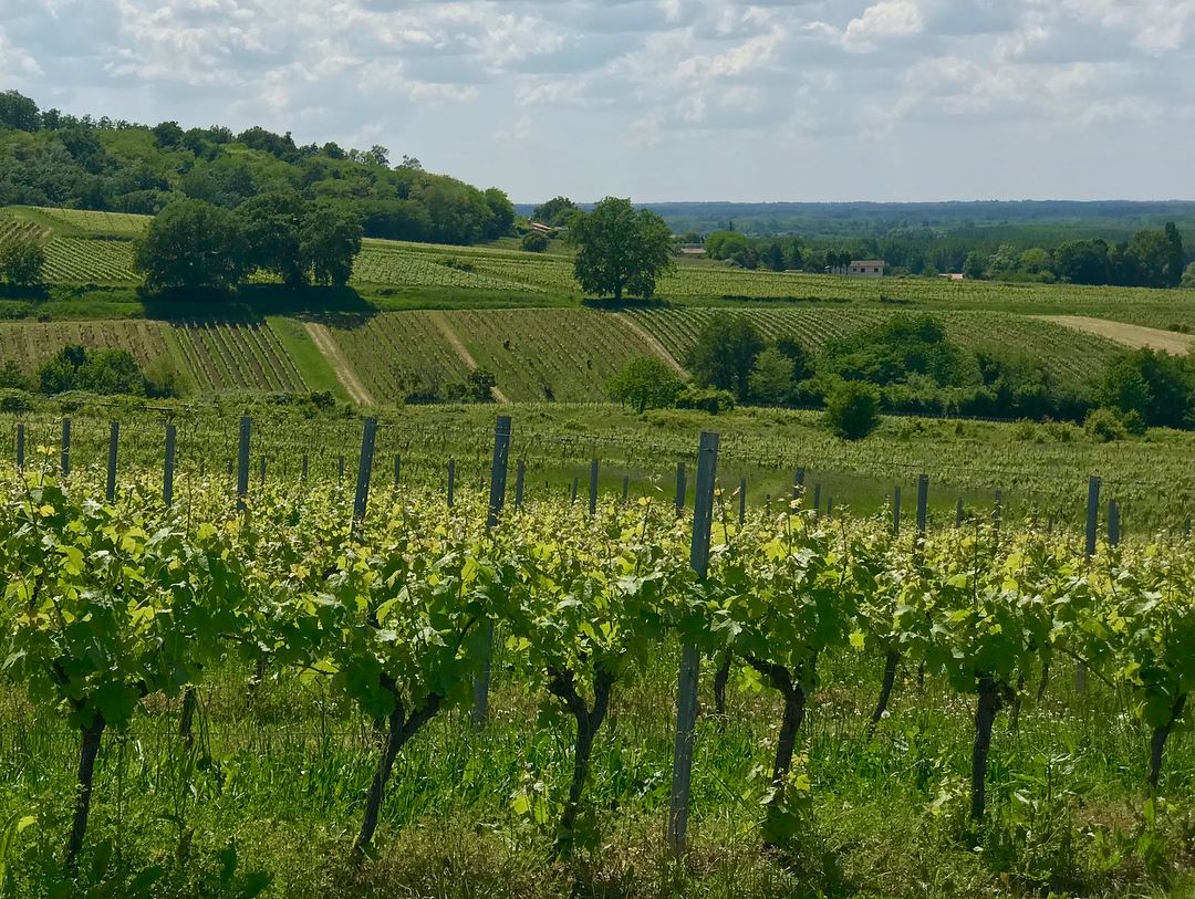 Balade ludique à Loupiac