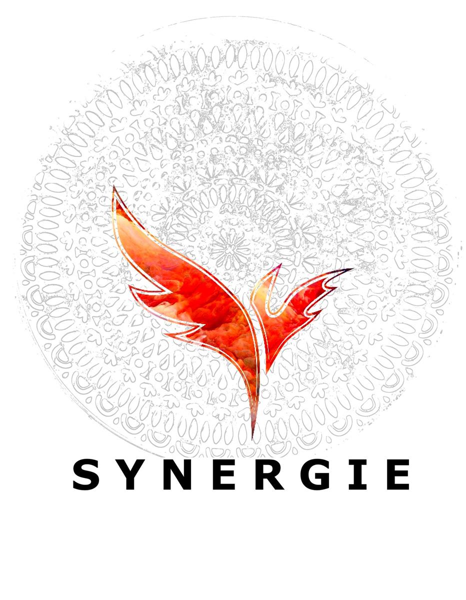 Journée Synergie "Apogée du Printemps et début ...