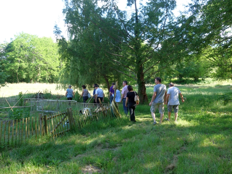 Rendez-vous aux jardins - les jardins du châte ...