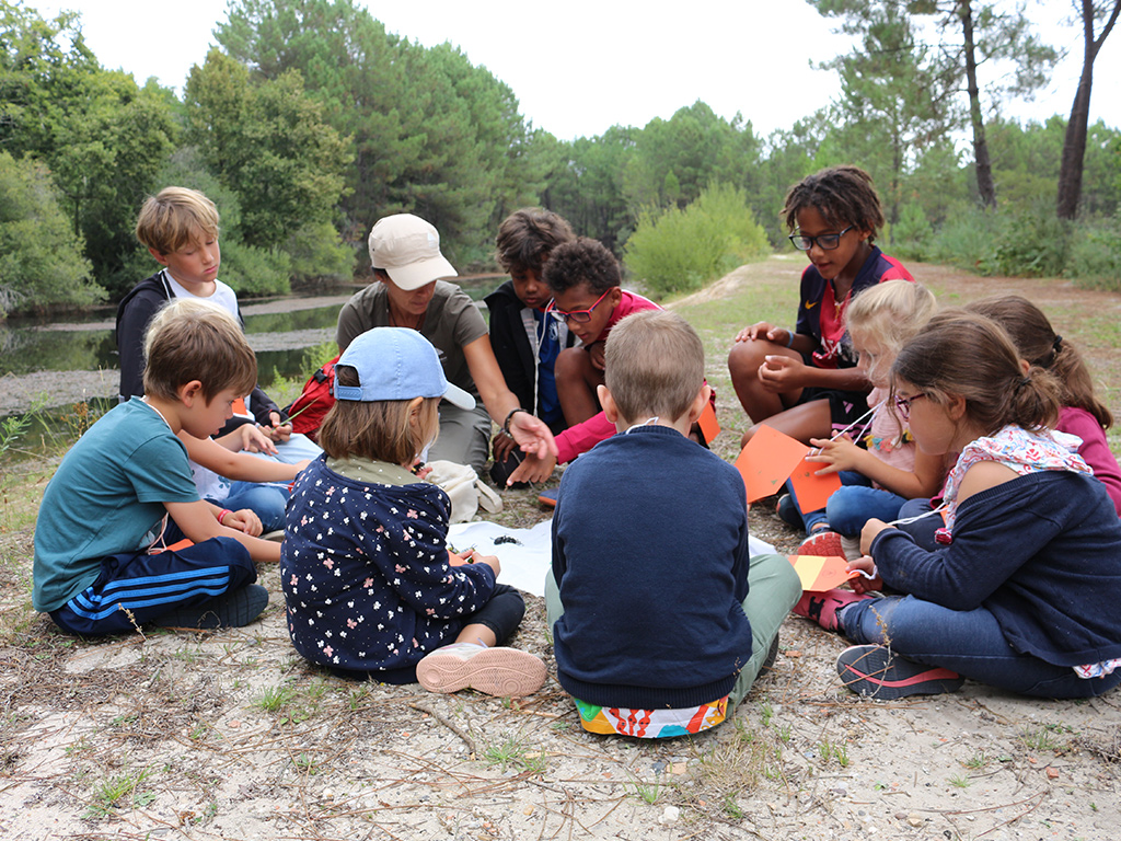 Les petites bêtes de l'eau