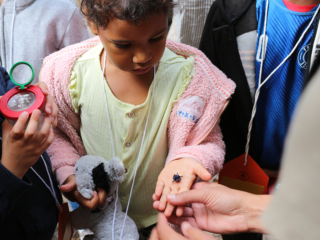 Les minuscules de la forêt