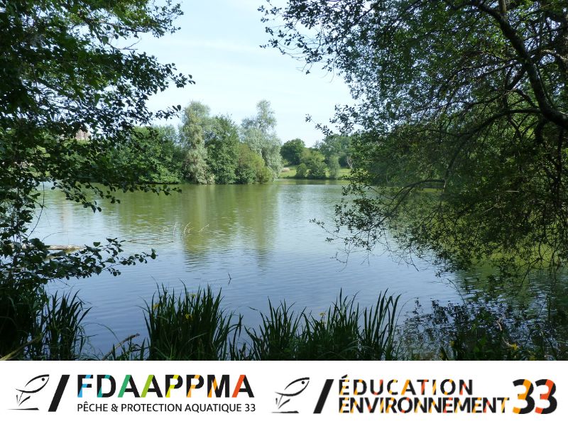 Junior Fishing Tour au Domaine nature et de lo ...