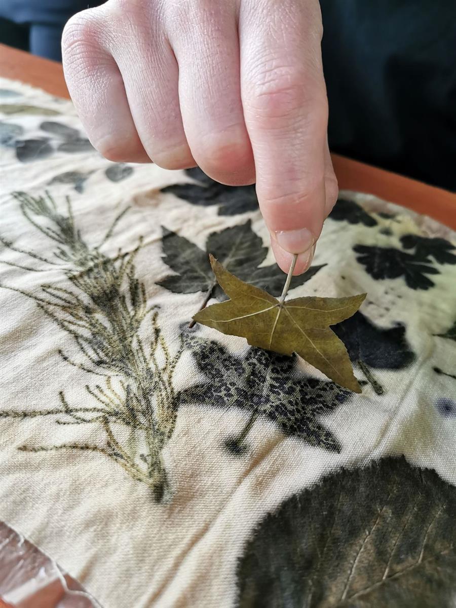 Atelier ecoprint végétal à la journée