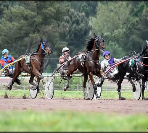 Course hippique