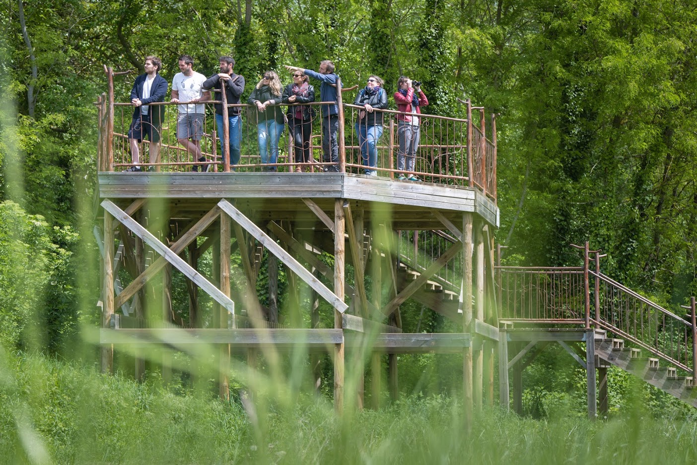 Découverte des oiseaux de nos jardins et forêts