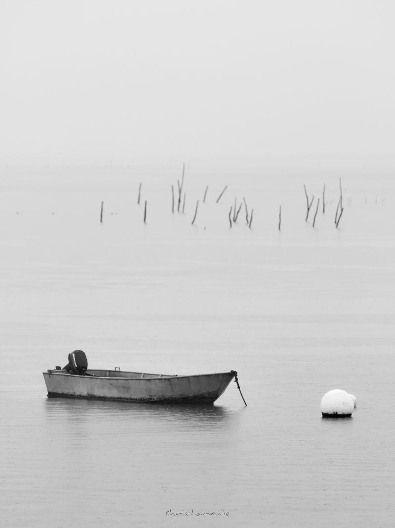 Exposition Photo Par Chris Lamoulie - M' L'Aig ...
