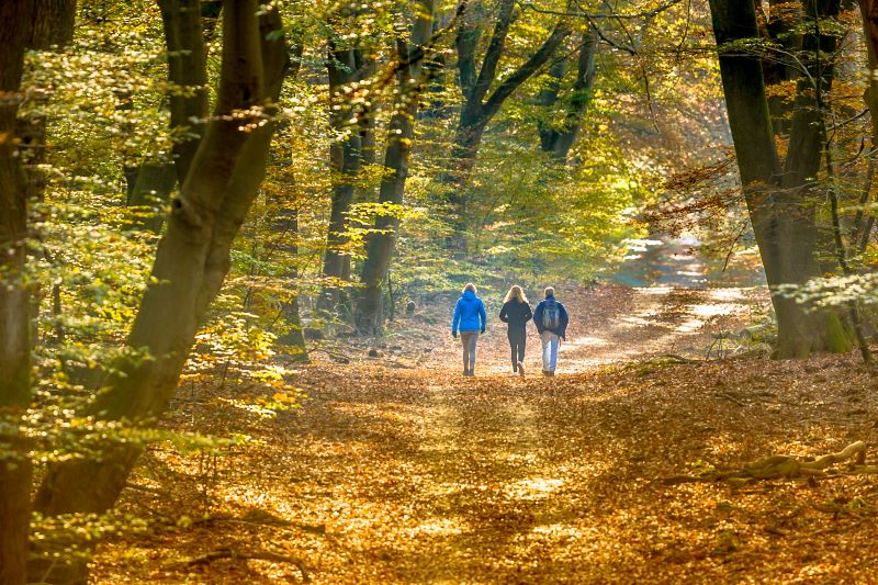 Marcher, découvrir, aimer Arcachon !
