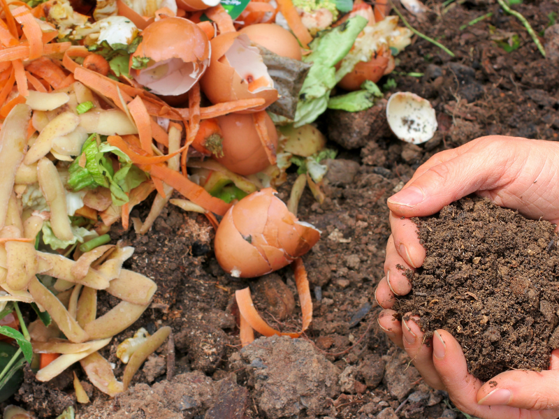 Atelier "Tous au 4L Jardin"
