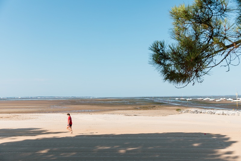 La laisse de mer et ses mystères
