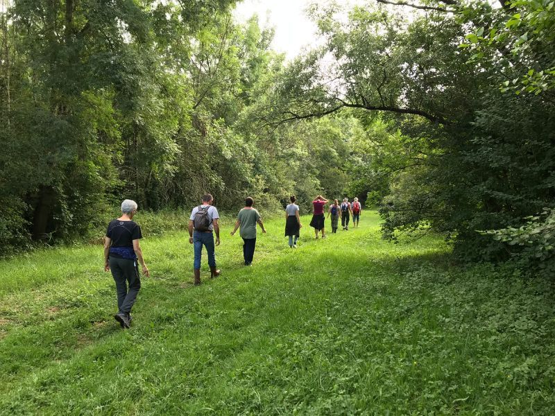Marche médiative sur le site naturel du Moron