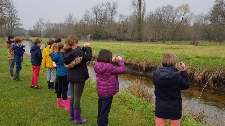 Le Bocage humide des bords de Garonne