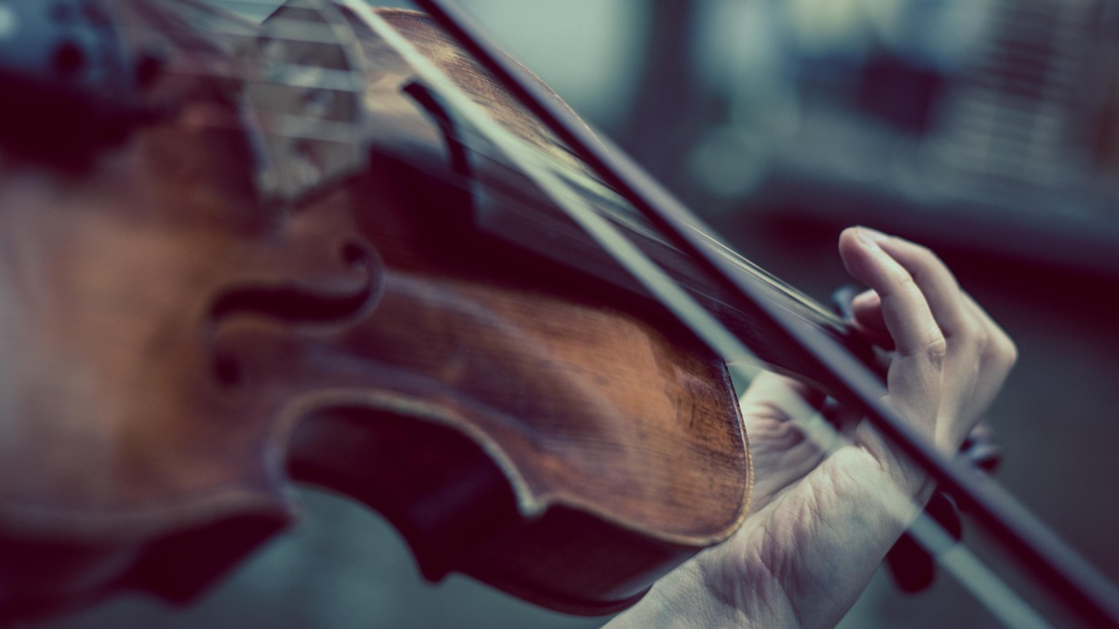 Concert de violon du jeune prodige MANOE