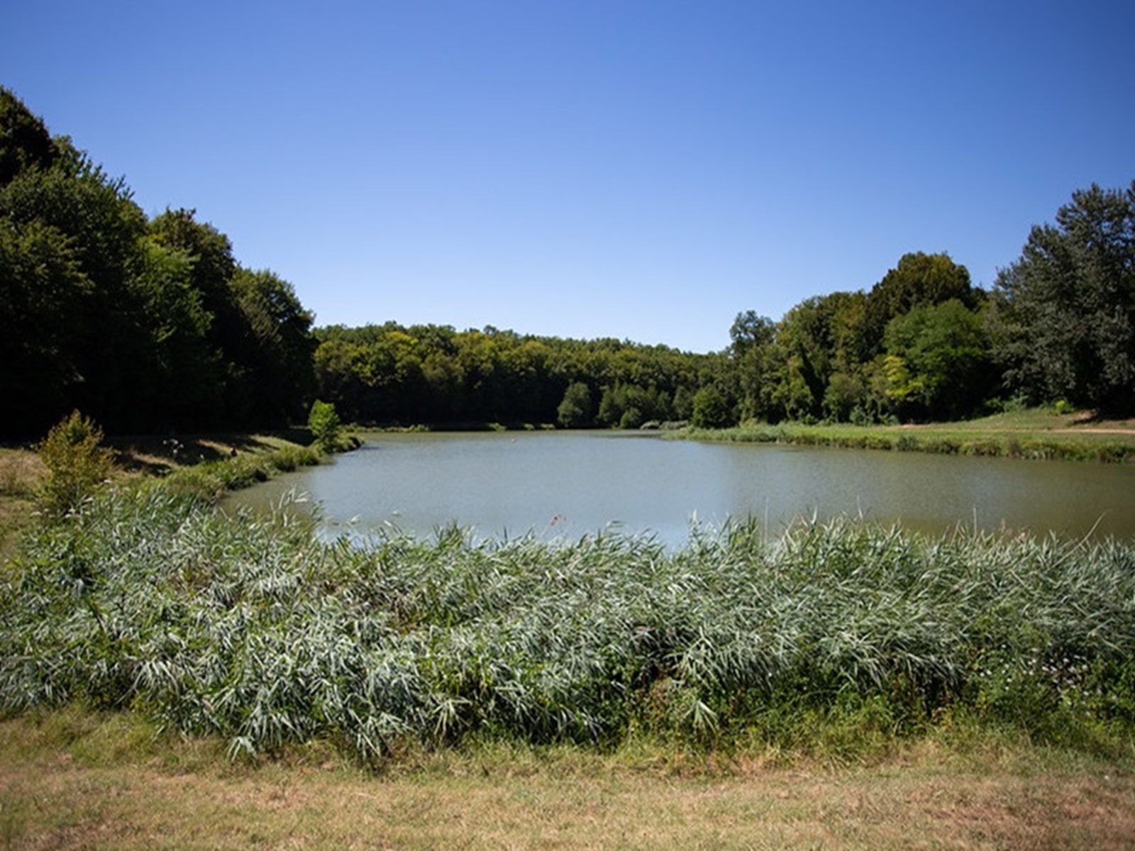 Balade sur le Domaine nature et de loisirs de  ...