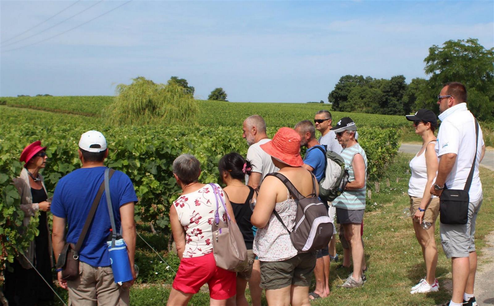 Balade commentée dans le vignoble du Château T ...