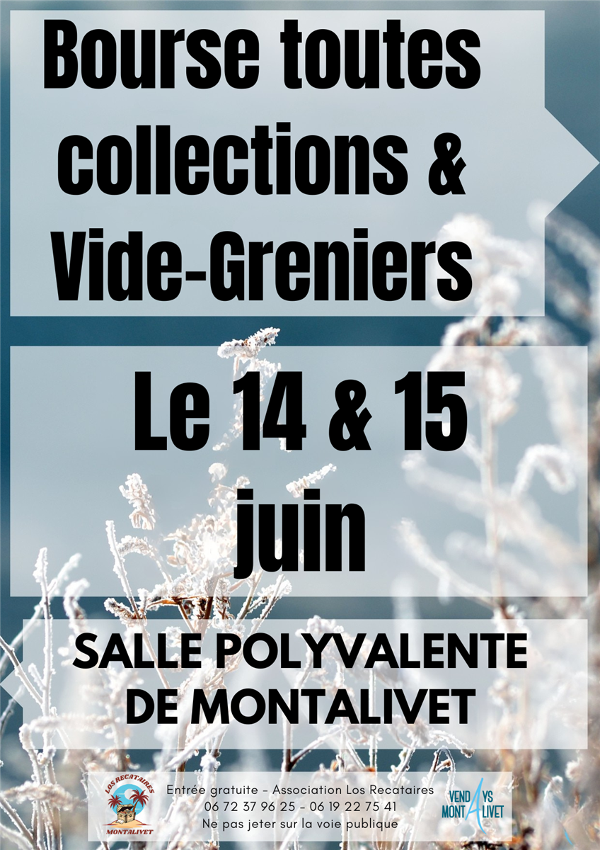 Bourse toutes collections et vide-greniers