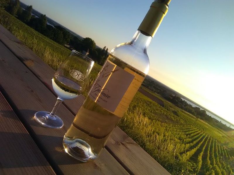 Duo vigneronne snack et vins