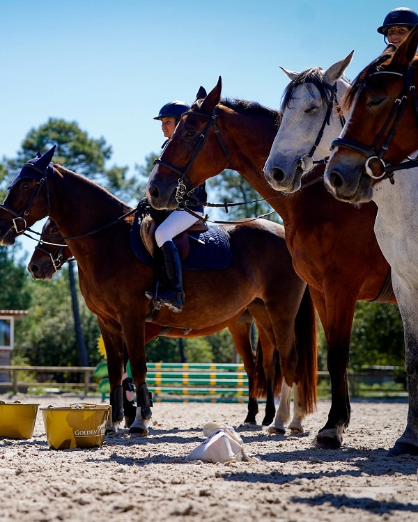 Concours de sauts d'obstacles au Centre équestre