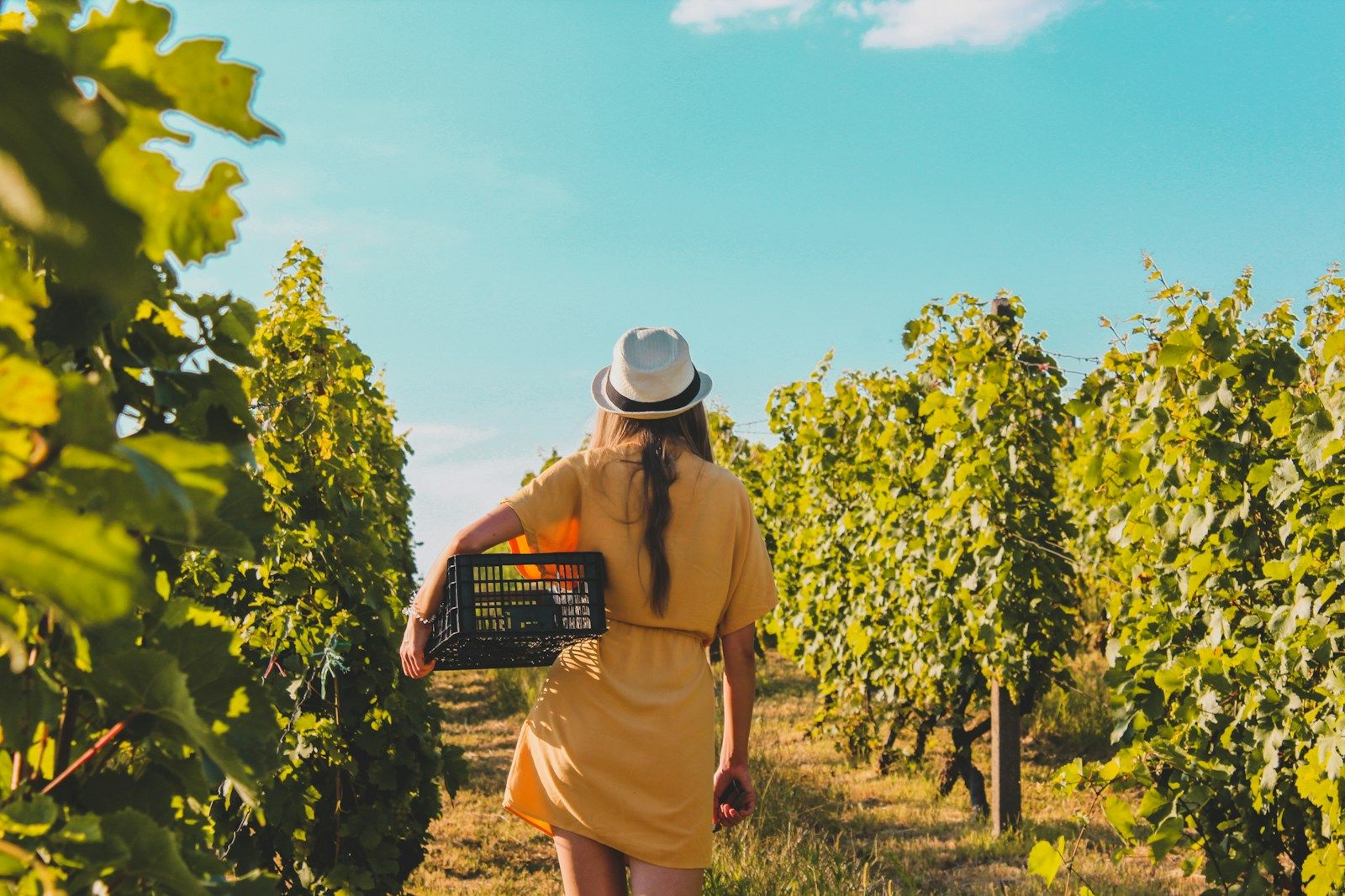 "Les vignerons prennent l'Aire" - Château Gaboriat