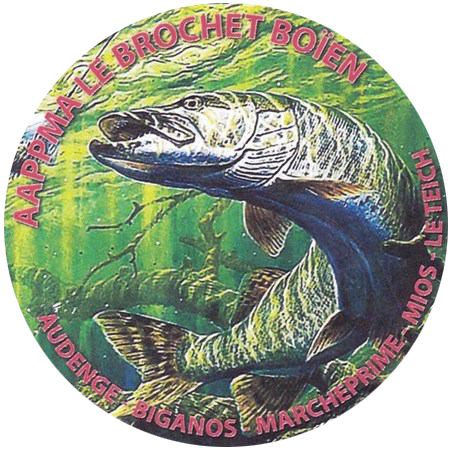Concours de pêche