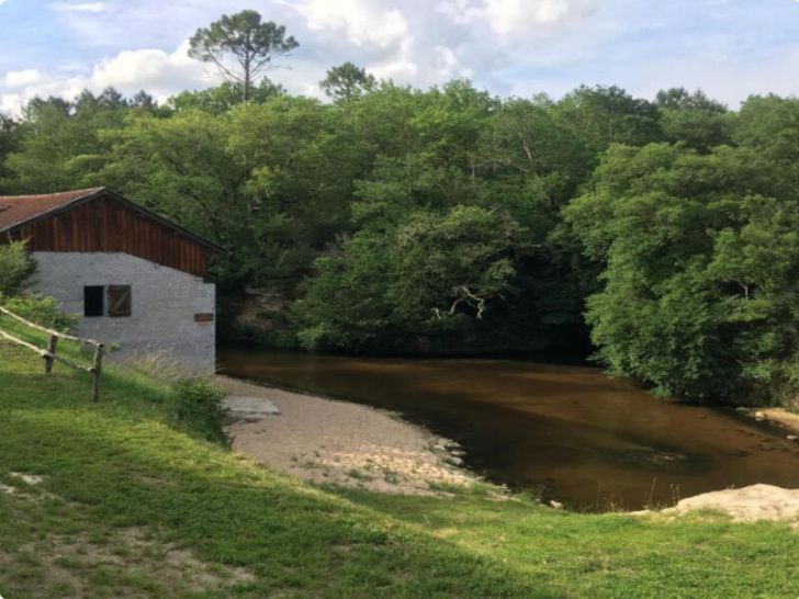 Visite exceptionnelle du moulin de Caussarieu