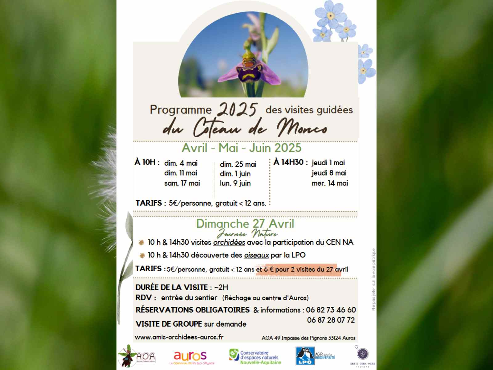 Visite guidée des orchidées de Monco
