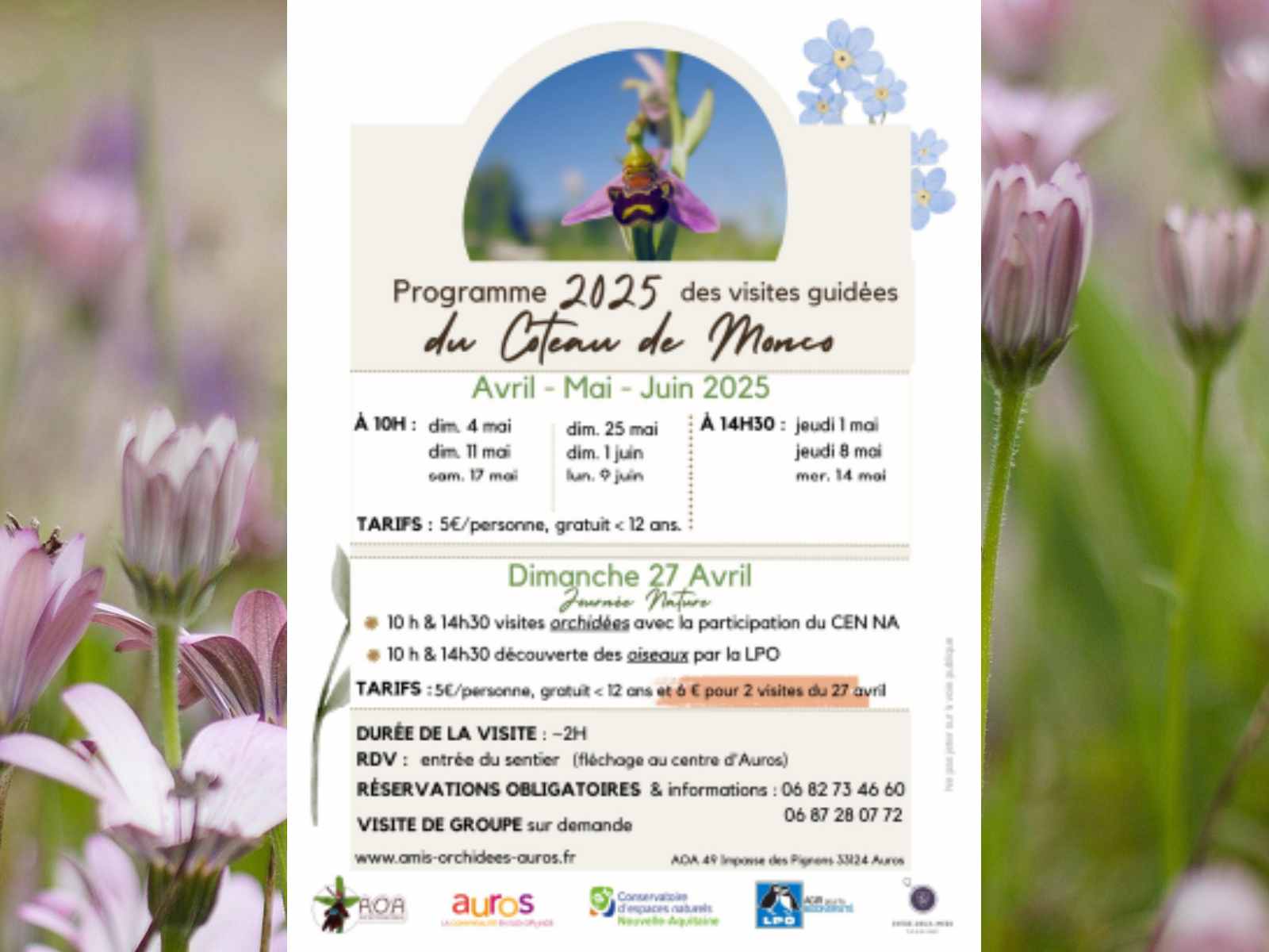 visite guidée orchidées de Monco à AUROS