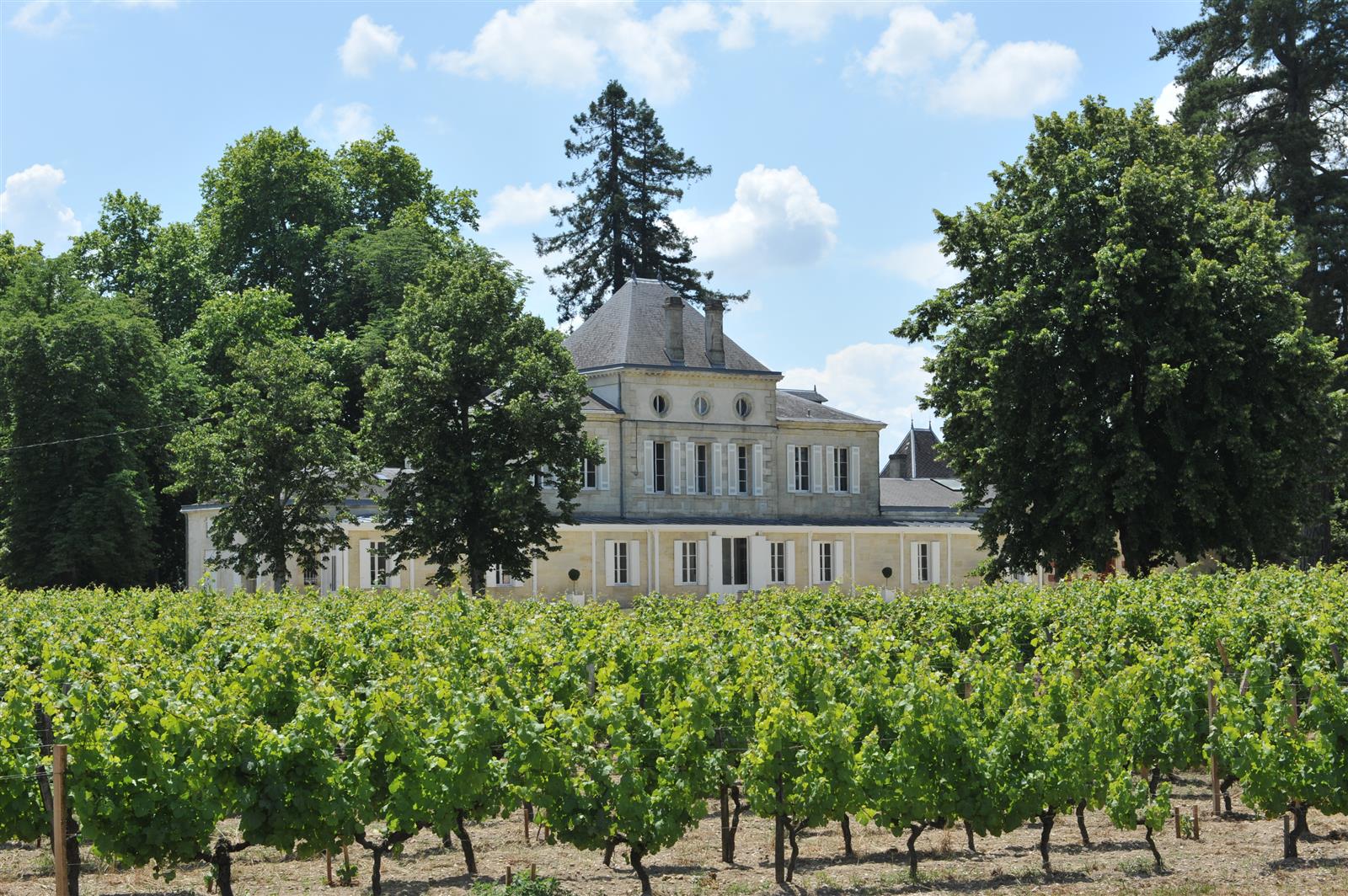 PORTES OUVERTES PRIMEURS CHÂTEAU HAUT NOUCHET